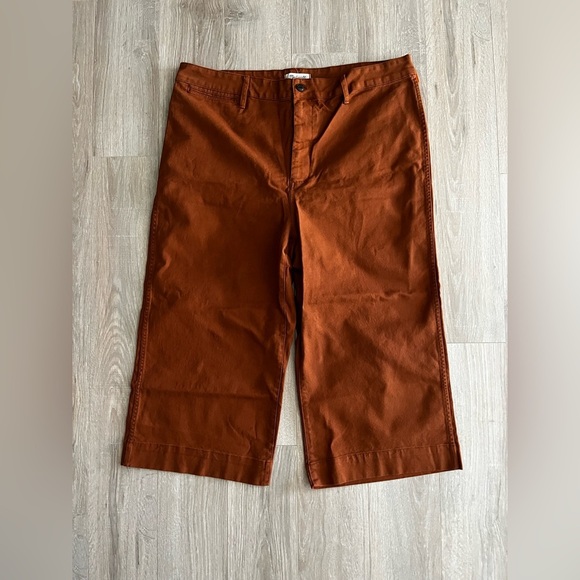 NWT Madewell Women’s Petite Emmett Wide-Leg Crop Pants Burnt Orange Size 36P - Picture 1 of 6